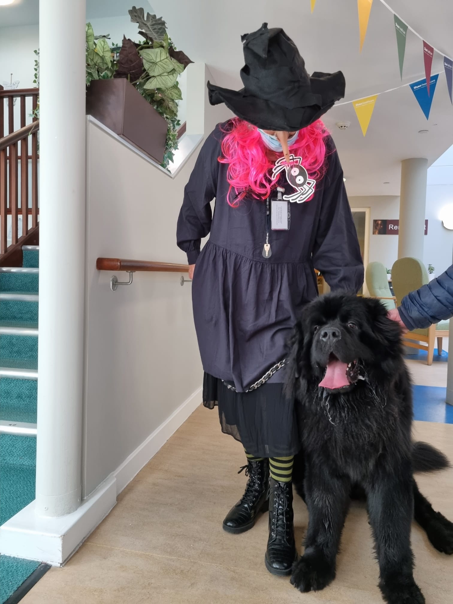 Fenton the dog with a witch 