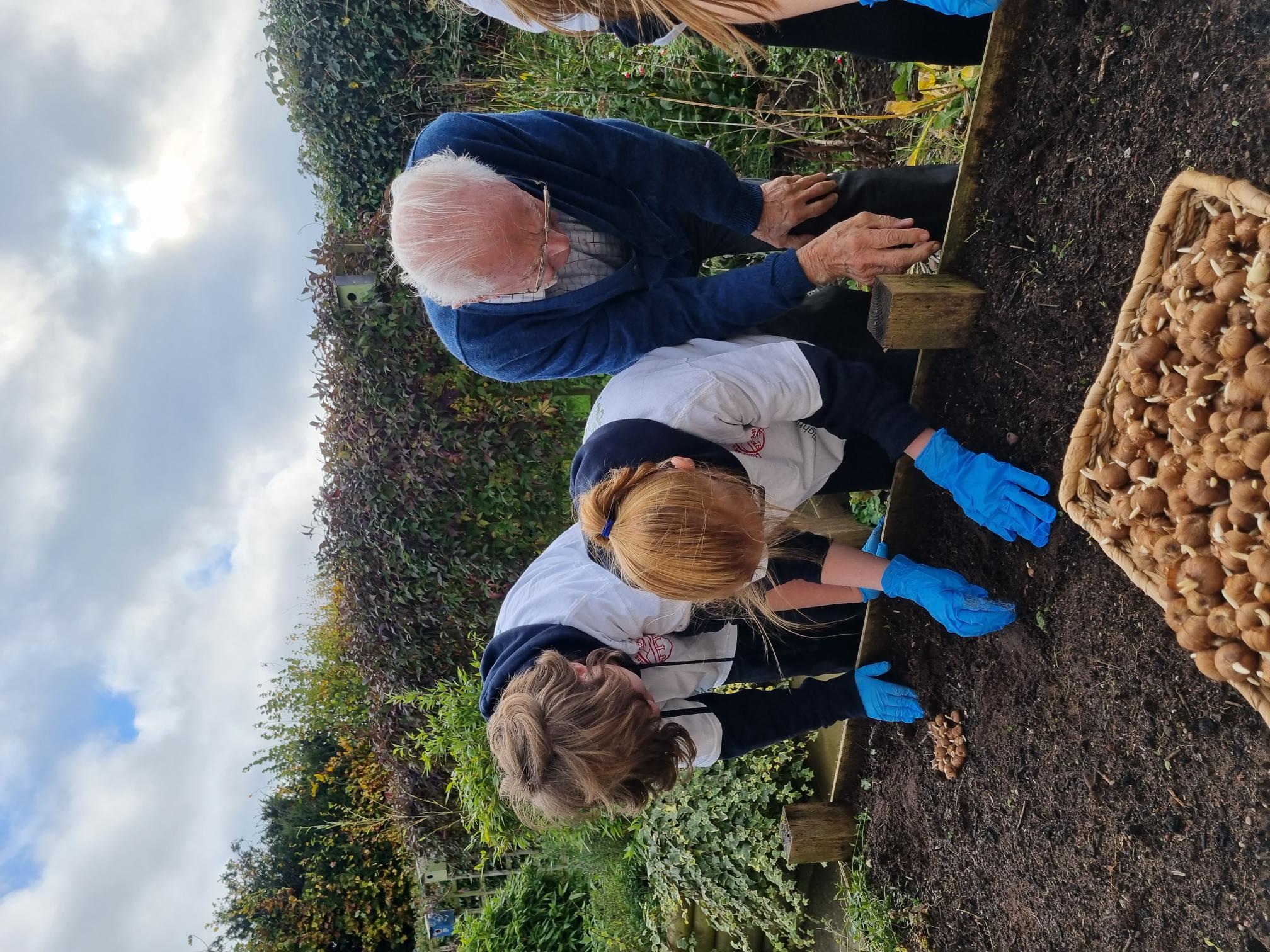 residents and school children gardening, planting bulbs for intergenerational project