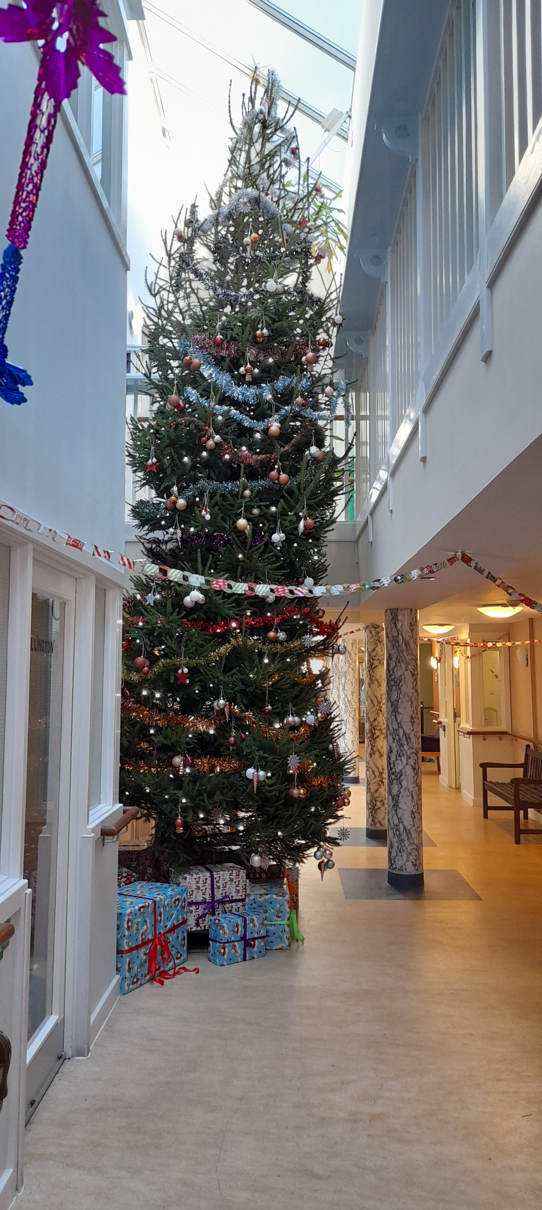Massive Christmas tree at Rotherlea decorated 