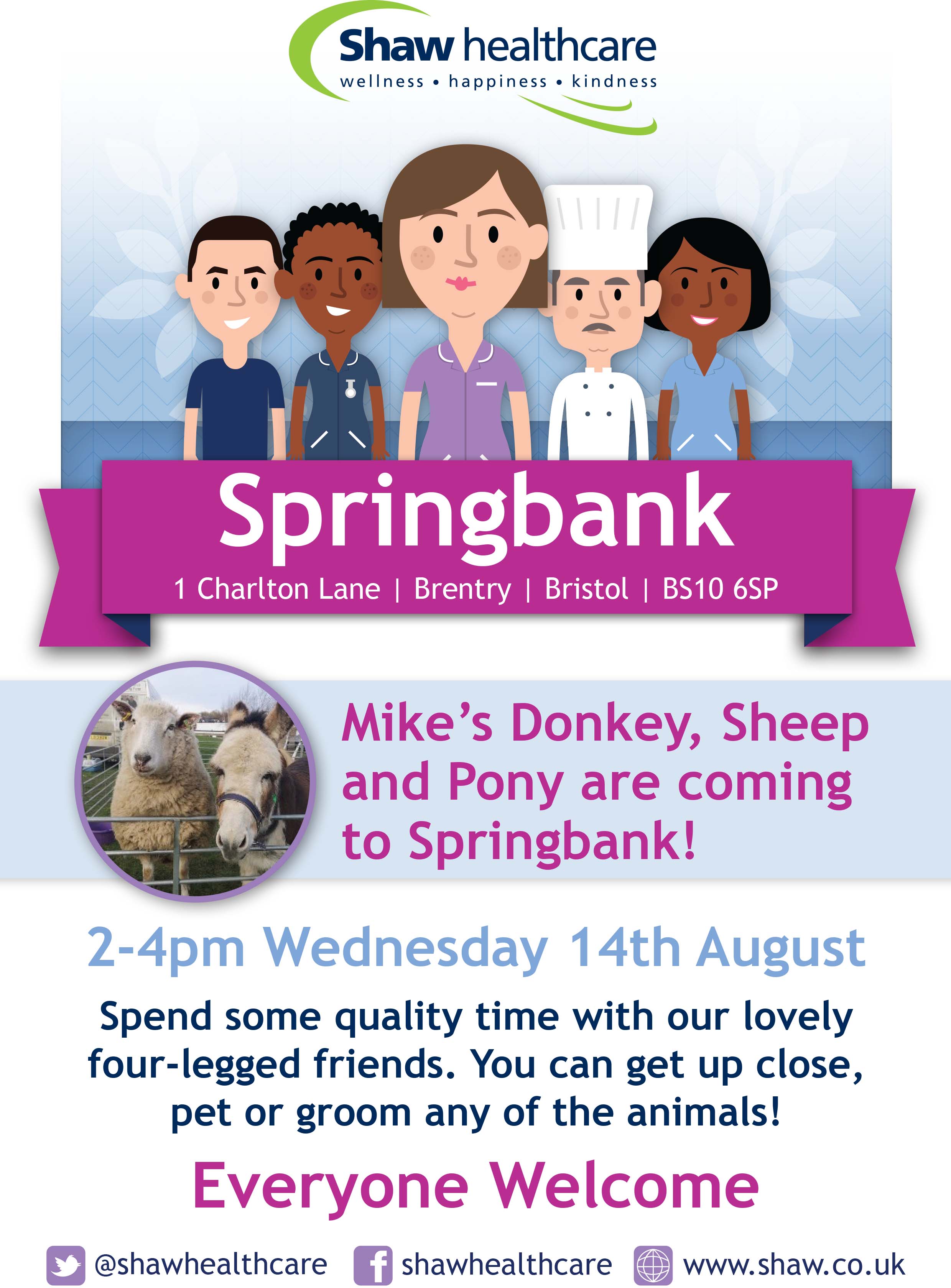 Springbank Mikes Donkey Poster