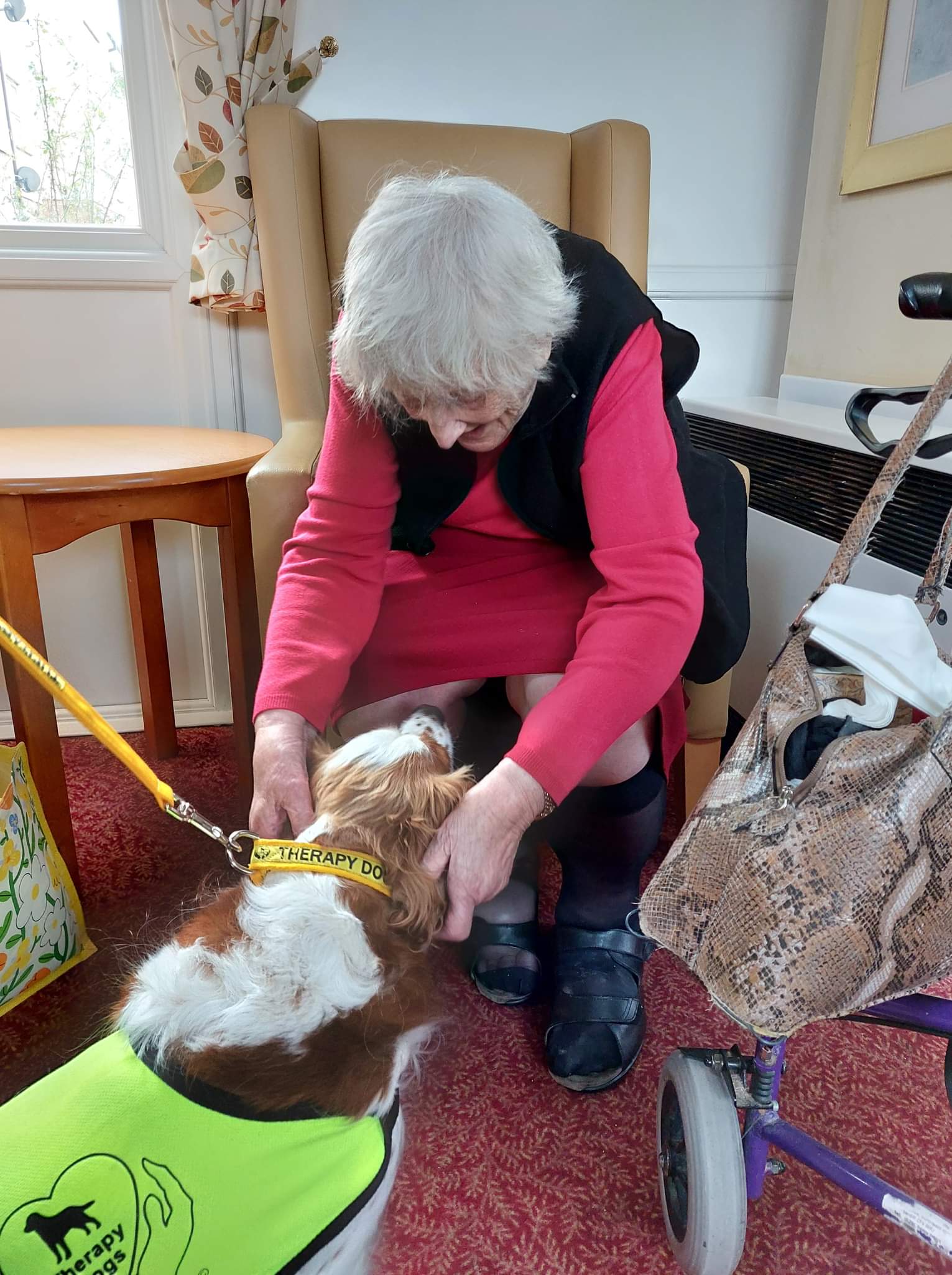 Dougal the therapy dog visits residents